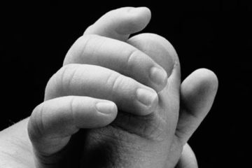 teoria da vinculação attachment